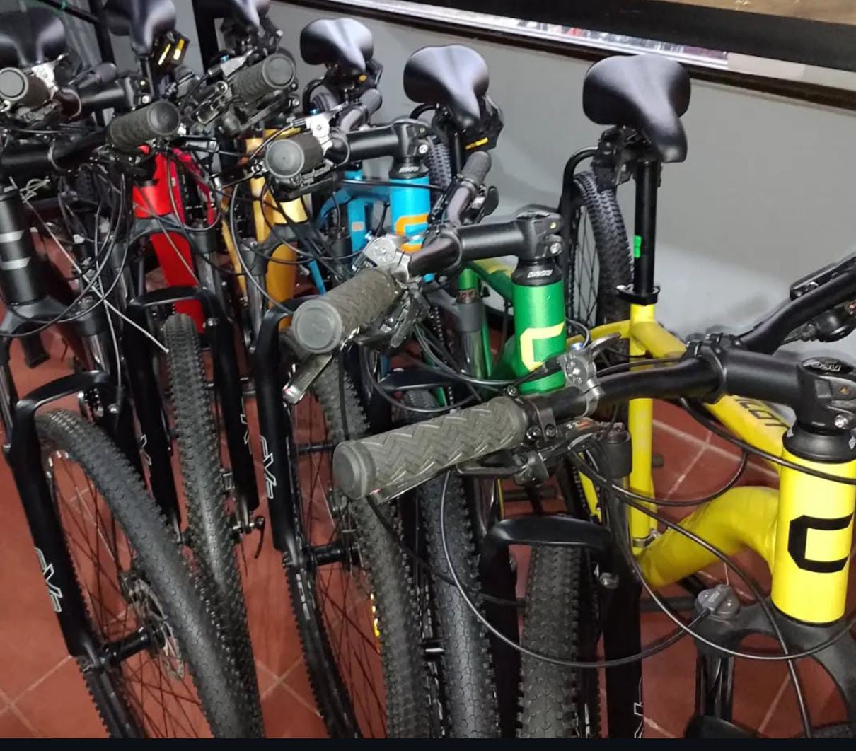 Bike Rental 2