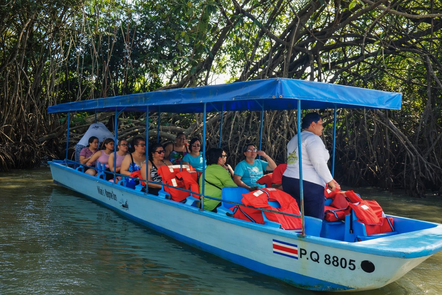 Mangrove Kayak
