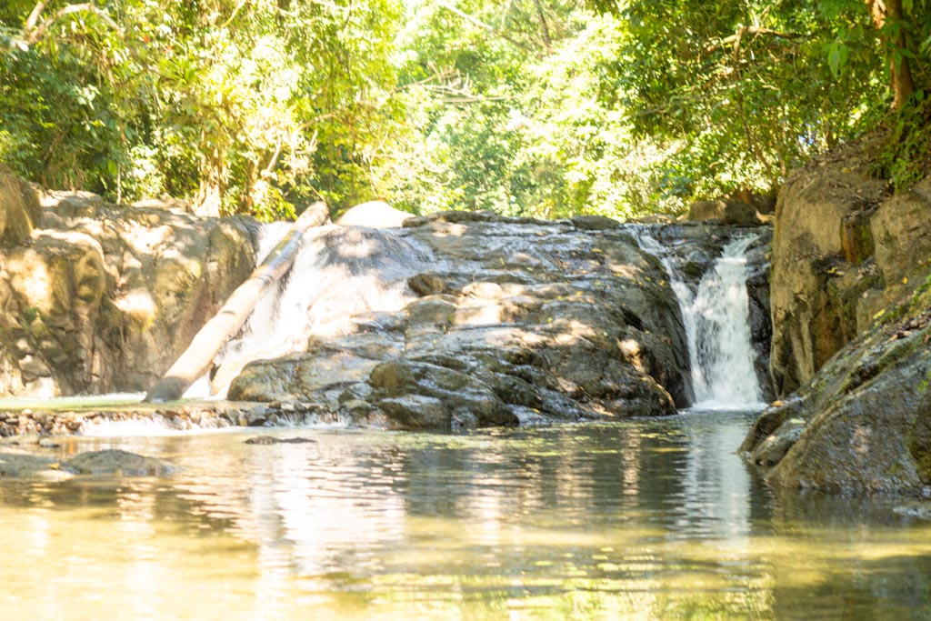 Jungle Adventure